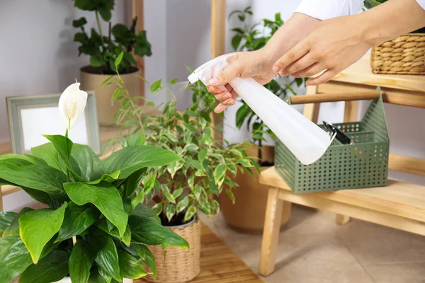 stock image Cozy hobby - growing indoor plants at home