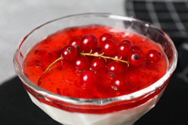Lezzetli ve tatlı tatlı - Panna Cotta, lezzetli tatlı konsepti için kompozisyon