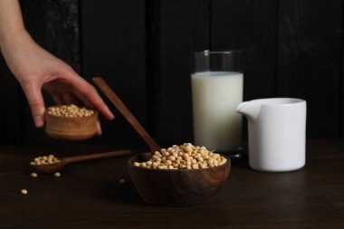 Soya sütü ve soya, sağlıklı besin konsepti için kompozisyon.