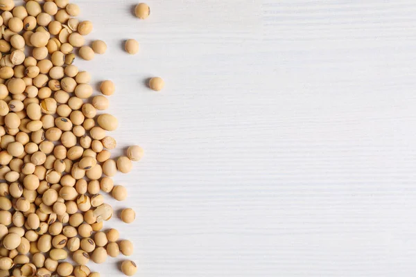 白色背景的大豆种子 文字空间 — 图库照片
