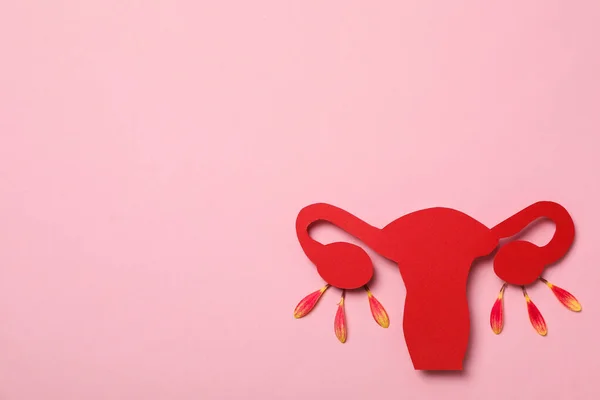 stock image Women's health and women's healthcare concept with uterus