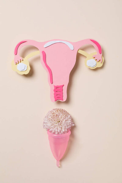 Women's health and women's healthcare concept with uterus
