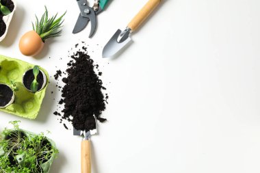 Yumurta kutusunda büyüyen bitkiler, metin için alan