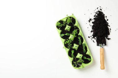 Yumurta kutusunda büyüyen bitkiler, metin için alan