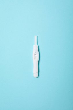 Concept of pregnancy and maternity, top view