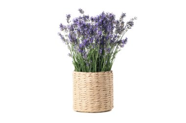 Çiçeklerle, lavantalarla, beyaz arka planda izole edilmiş rahat kavramı