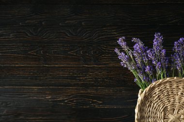 Çiçekler, lavanta çiçekleri, metin için boşluk kavramı