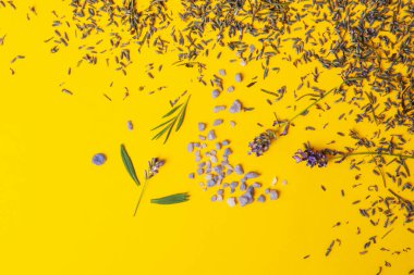 Çiçeklerle, güzel lavanta çiçekleriyle dolu konsept.