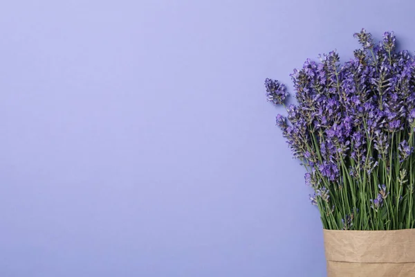 stock image Concept of cozy with flowers, lavender flowers, space for text