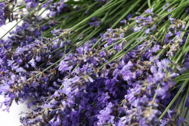 Çiçeklerle, güzel lavanta çiçekleriyle dolu konsept.