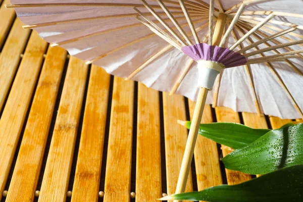 Tradiční Japonský Deštník Tradiční Japonský Koncept Příslušenství — Stock fotografie