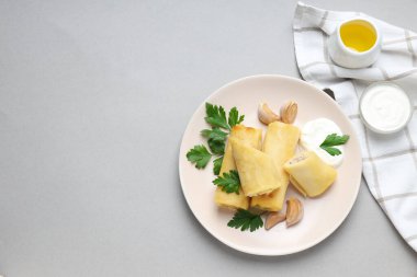 Concept of tasty food, thin pancakes with filling, space for text