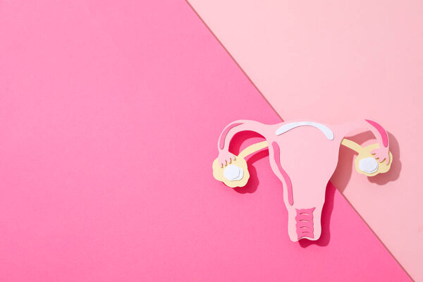 Women's health and women's healthcare concept with uterus