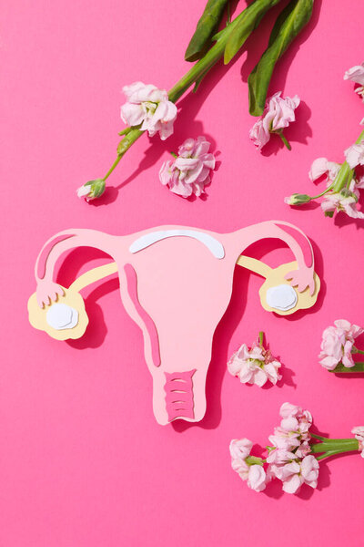Women's health and women's healthcare concept with uterus