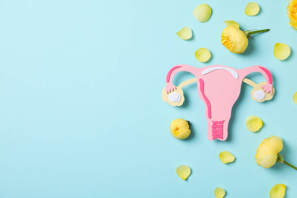 Women's health and women's healthcare concept with uterus