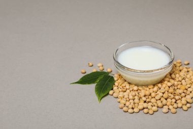 Soya sütü ve soya, sağlıklı besin konsepti için kompozisyon.