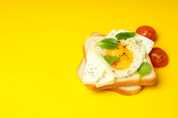 Концепция Вкусного Завтрака Бутербродом Место Трекса — стоковое фото