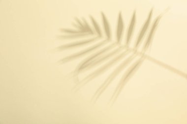 Yaz zamanı görüntü, tatil ve yaz günlerinde dinlenme.