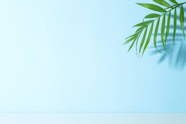 Yaz zamanı görüntü, tatil ve yaz günlerinde dinlenme.