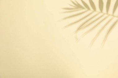 Yaz zamanı görüntü, tatil ve yaz günlerinde dinlenme.