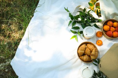 Doğada zaman geçirmek - piknik, piknik için aksesuarlar