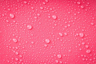 Su damlaları ile pembe arkaplan, kapat