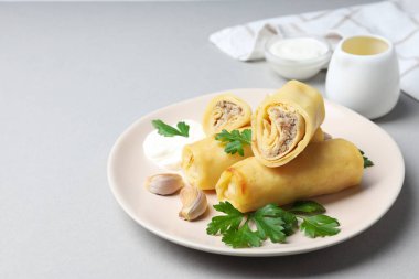 Concept of tasty food, thin pancakes with filling, space for text