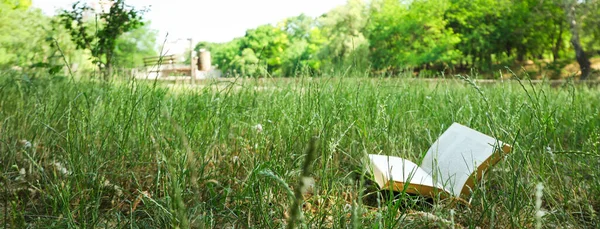 自然の中で時間を過ごす ピクニック ピクニックのためのアクセサリー — ストック写真