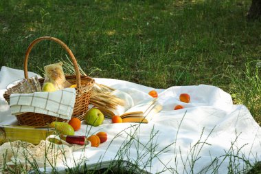 Doğada zaman geçirmek - piknik, piknik için aksesuarlar