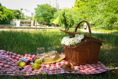 Doğada zaman geçirmek - piknik, piknik için aksesuarlar