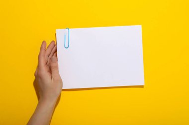 Farklı ofis aksesuarları kavramı - ataçlı kağıt