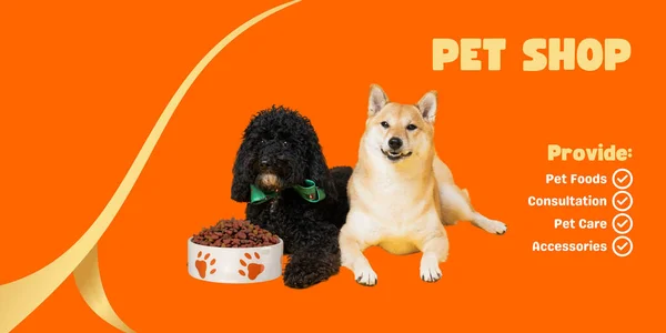 Image Für Werbung Für Zoohandlung Mit Niedlichen Hunden — Stockfoto