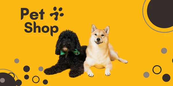 Obrázek Pro Reklamu Pet Shop Roztomilými Psy — Stock fotografie