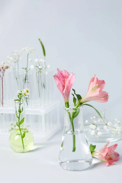 Konzept Der Biologischen Und Chemischen Forschung Mit Blumen — Stockfoto