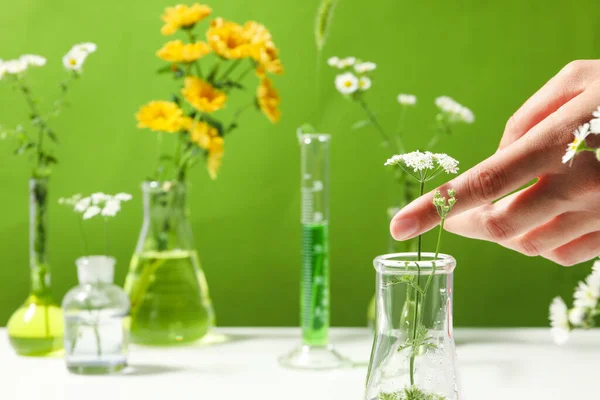 Conceito Biologia Pesquisa Química Com Flores — Fotografia de Stock