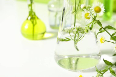 Kozmetik konsept yapmak için kompozisyon, çiçeklerle kozmetik yapmak için