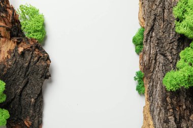 Yosun, metin için boşluk, farklı arkaplan kavramı