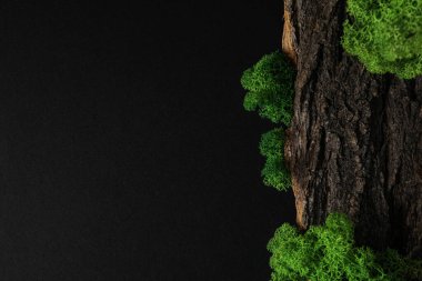 Yosun, metin için boşluk, farklı arkaplan kavramı