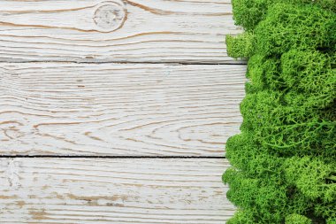 Yosun, metin için boşluk, farklı arkaplan kavramı