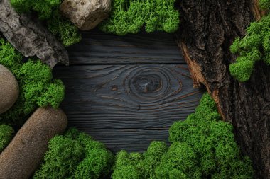 Yosun, metin için boşluk, farklı arkaplan kavramı