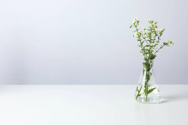 Composición Para Hacer Concepto Cosmético Hacer Cosmético Con Flores — Foto de Stock
