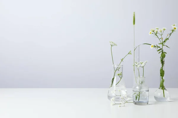 Skład Tworzenia Koncepcji Kosmetycznej Wykonanie Kosmetyku Kwiatami — Zdjęcie stockowe