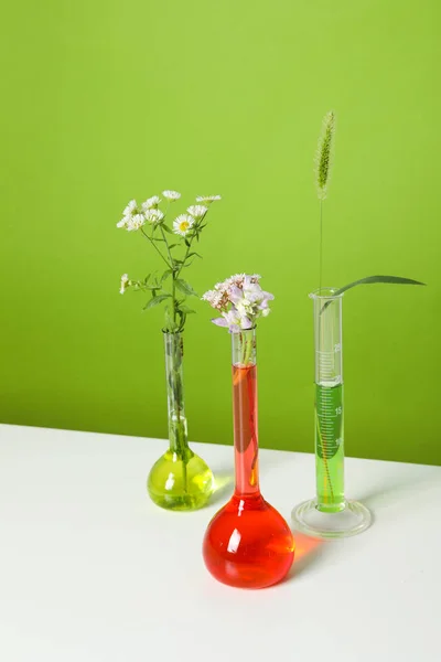Skład Tworzenia Koncepcji Kosmetycznej Wykonanie Kosmetyku Kwiatami — Zdjęcie stockowe