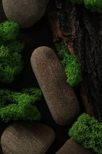 stock image Moss, different backgrounds for nature concept, moss and wood, moss and stones