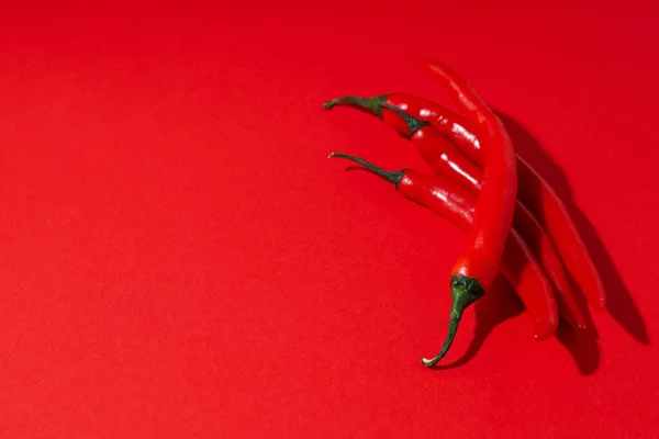 stock image Concept of hot and spicy ingredients - red hot chili pepper