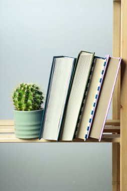 Okuma, çeşitli edebiyat - kitaplar, bilgi edinme kavramı