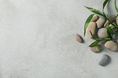 Tropikal ve yaz bitkisi kavramı - bambu