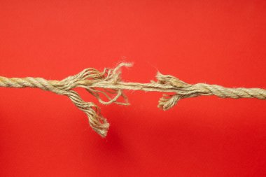Risk koruması ve risk, iş ve hayat kavramının ortadan kaldırılması