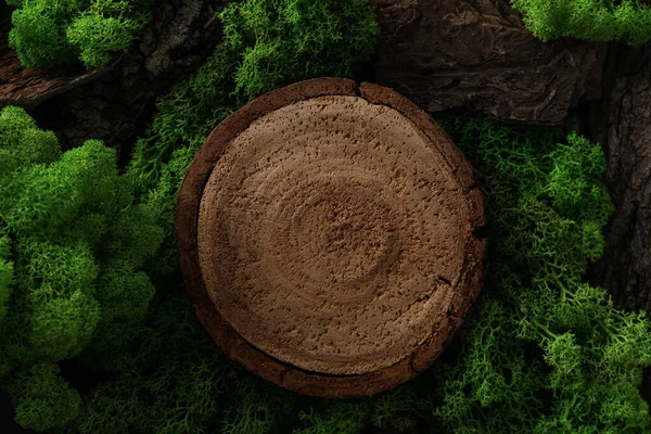Lumut Latar Belakang Yang Berbeda Untuk Alam Konsep Lumut Dan — Stok Foto