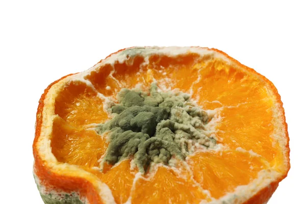 Fruit Mold Isolated White Background — Stock Photo, Image